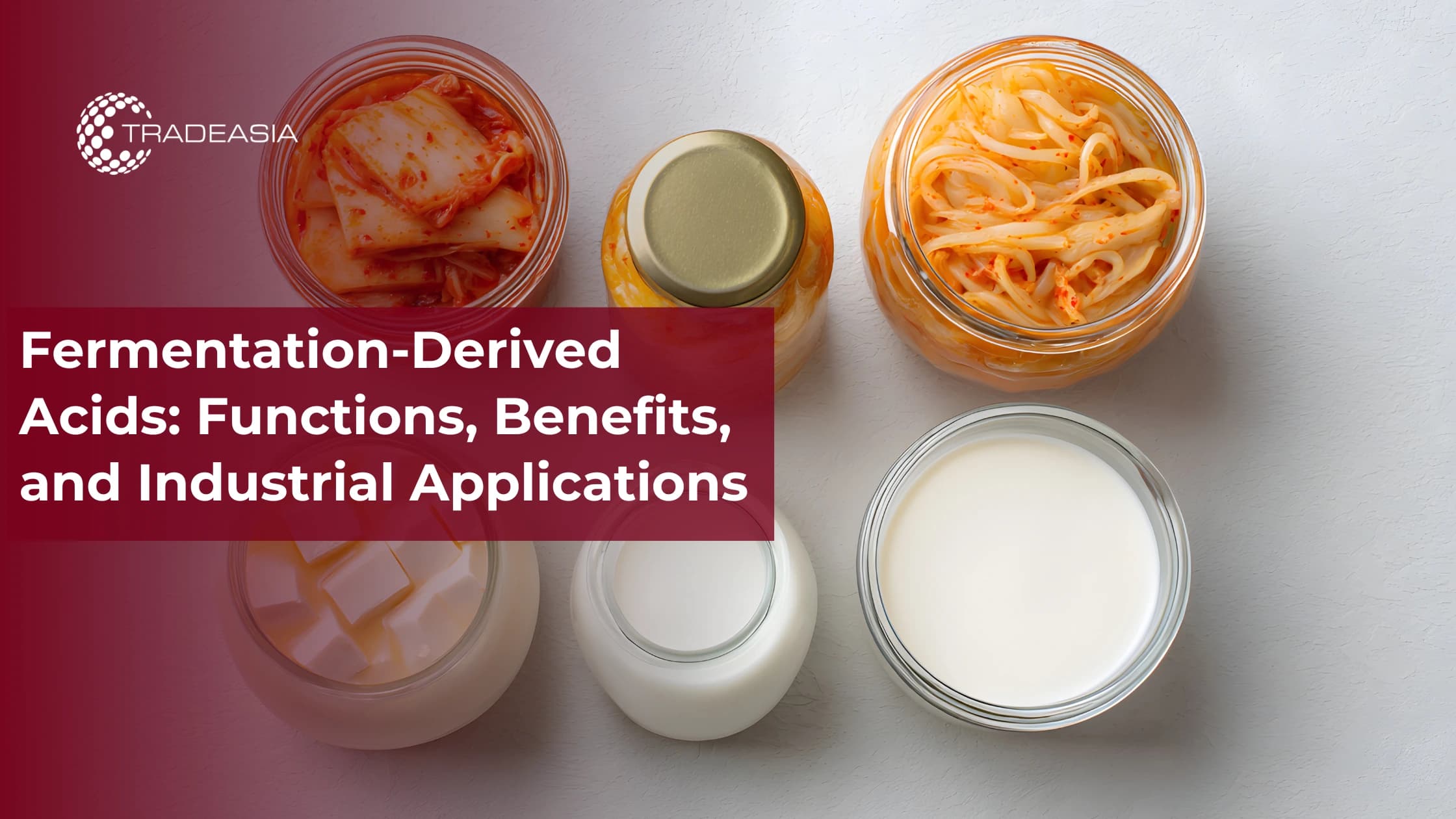 Fermentation-Derived Acids: Functions, Benefits, and Industrial Applications