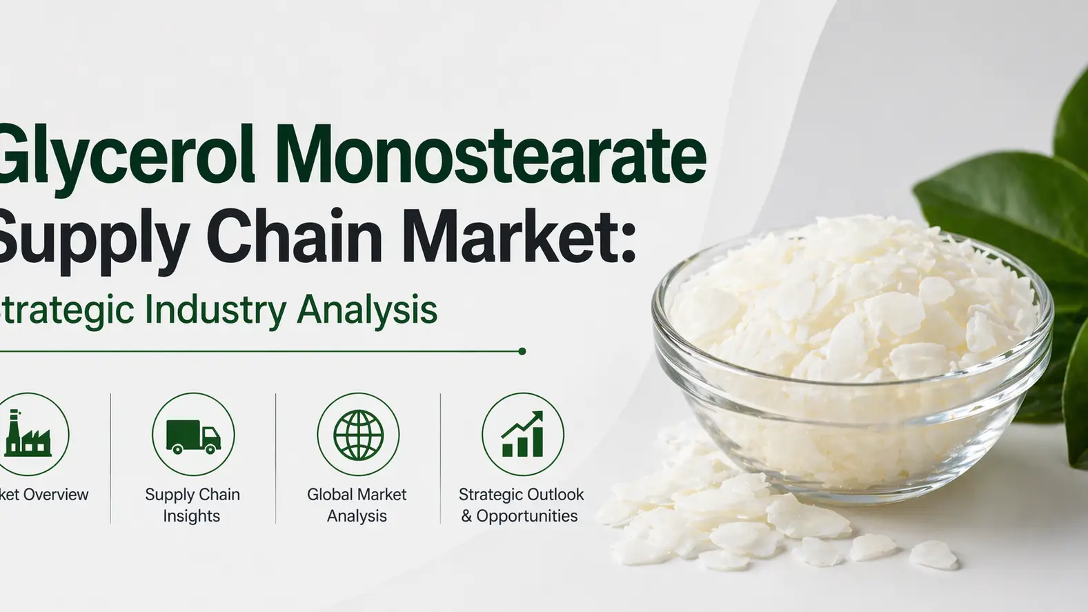 Glycerol Monostearate Supply Chain Market: Strategic Industry Analysis