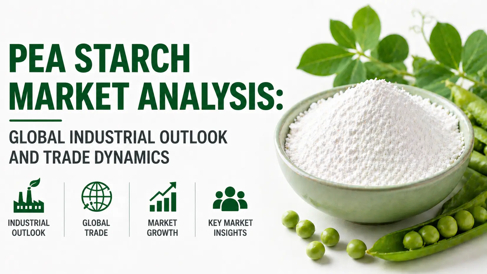 Pea Starch Market Analysis: Global Industrial Outlook and Trade Dynamics