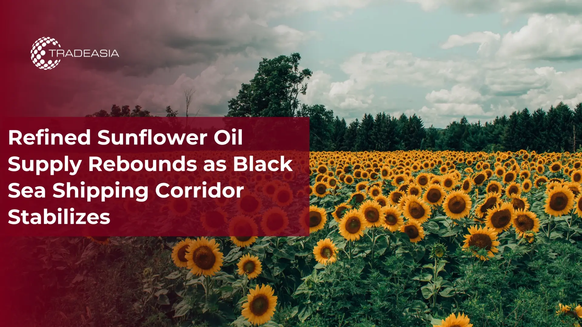Refined Sunflower Oil Supply Recovers with Black Sea Trade Stabilized