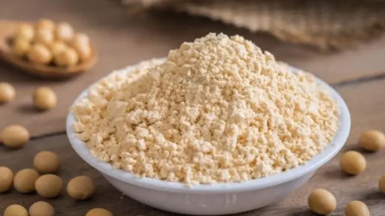 Soy Protein Concentrate: Supply Economics and Industrial Potential