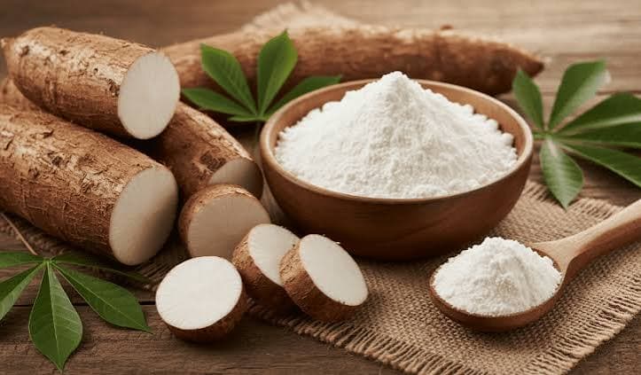 Clean-Label Starch Alternatives Replacing Chemically Modified Variants