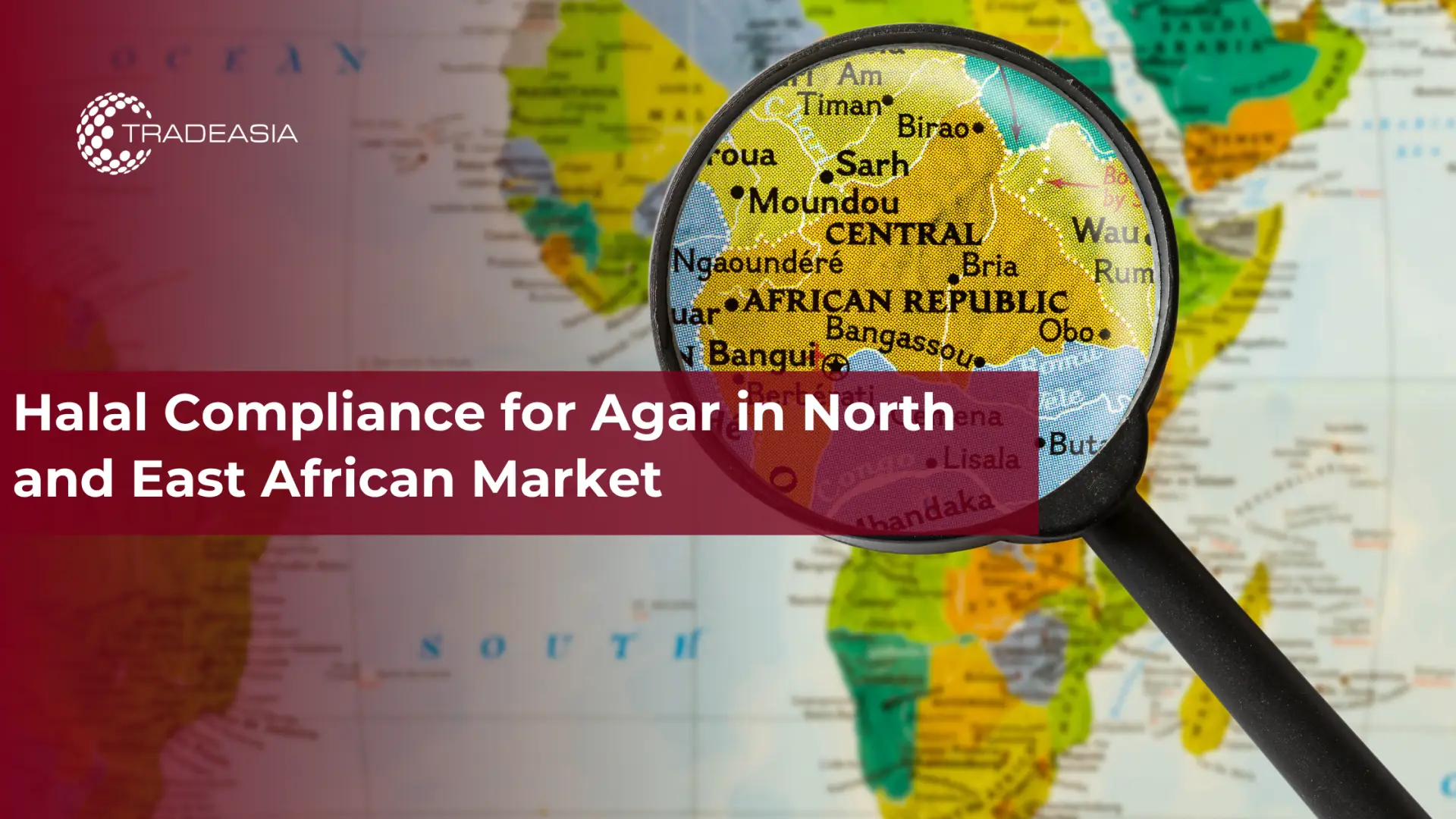 Halal Compliance for Agar in North and East African Market
