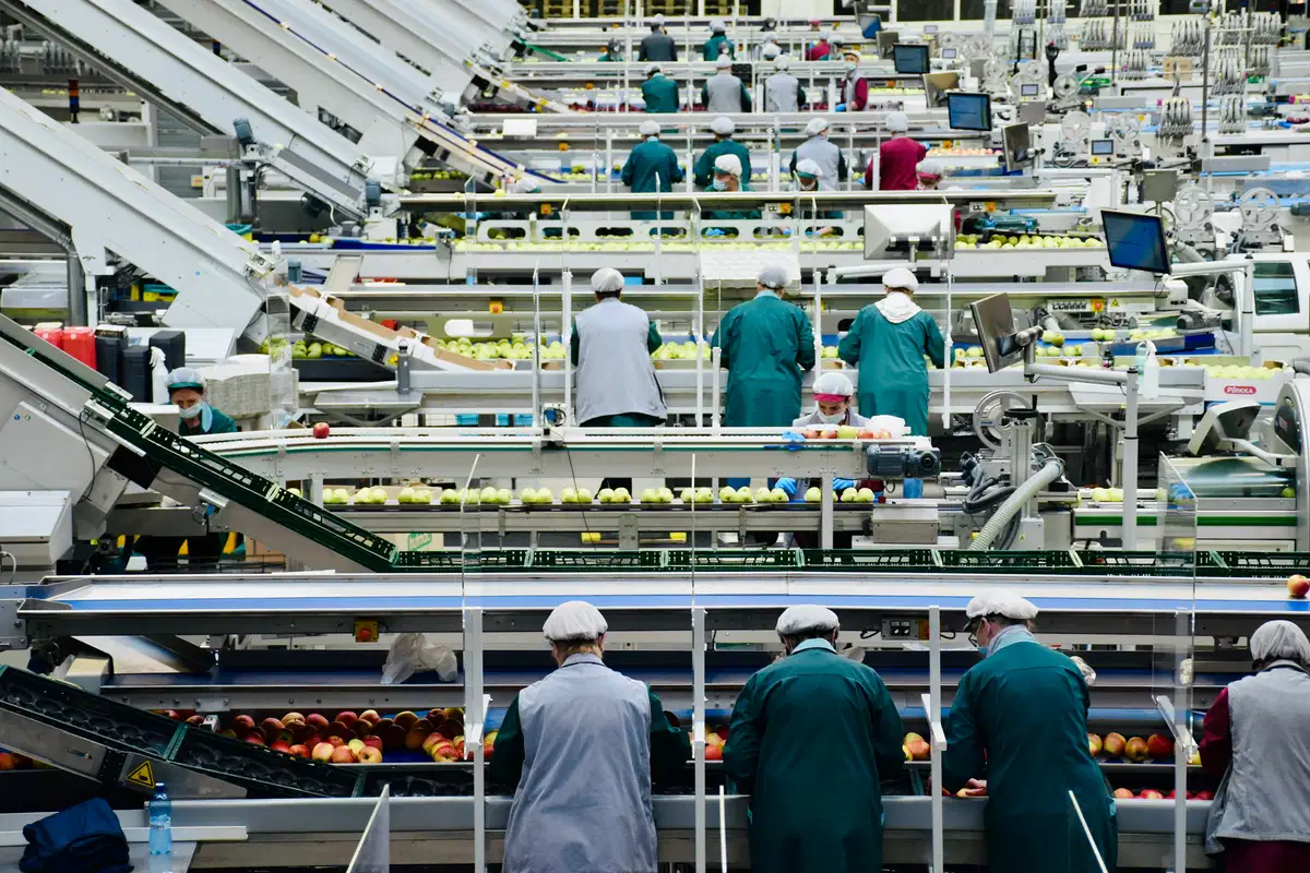 Mercado de glutamato monosódico: la demanda de la ASEAN se recupera a medida que las cadenas de suministro de alimentos del CCG se reanudan después de Ormuz