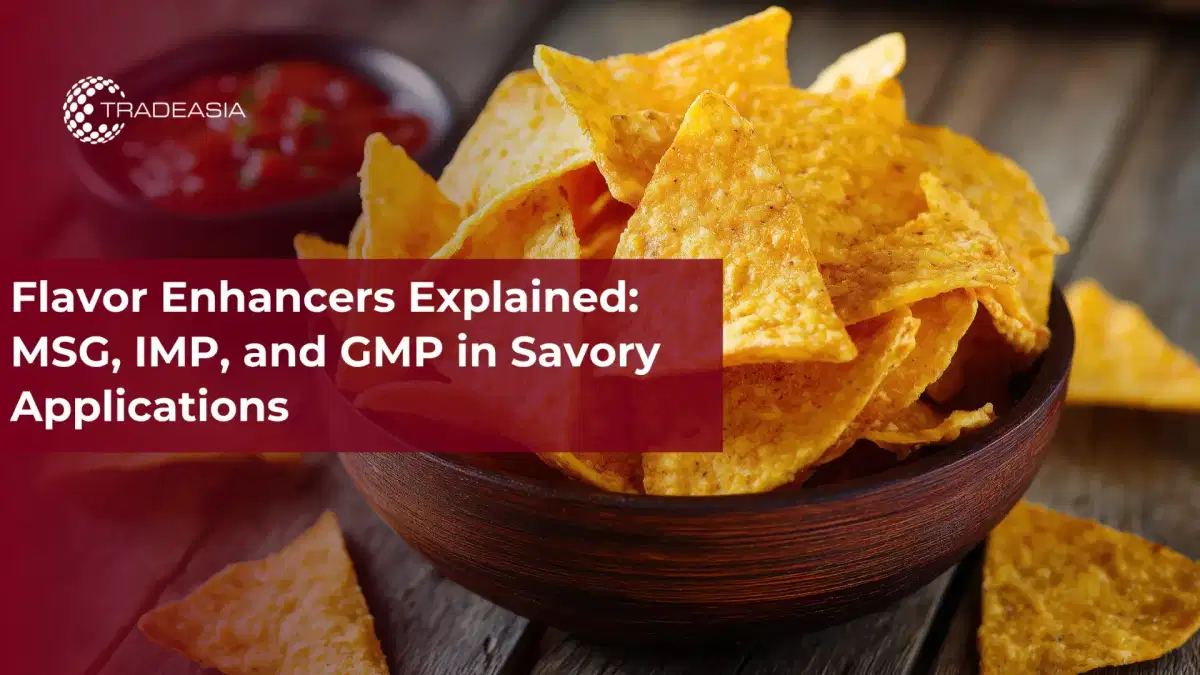 Explicación de los potenciadores del sabor: MSG, IMP y GMP en aplicaciones saladas