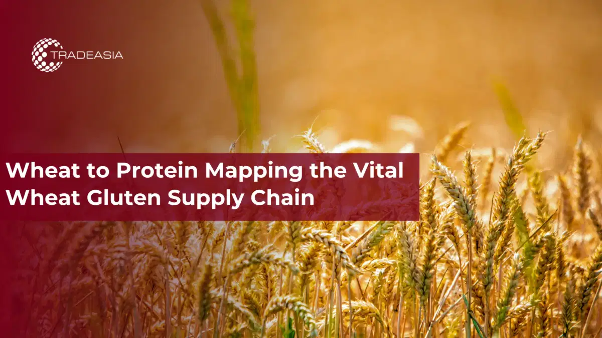 Wheat to Protein Mapping the Vital Wheat Gluten Supply Chain