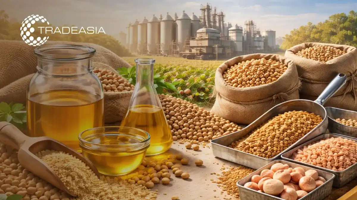 ¿Cómo pueden los productores de piensos garantizar un suministro estable de lecitina de soja para 2026?