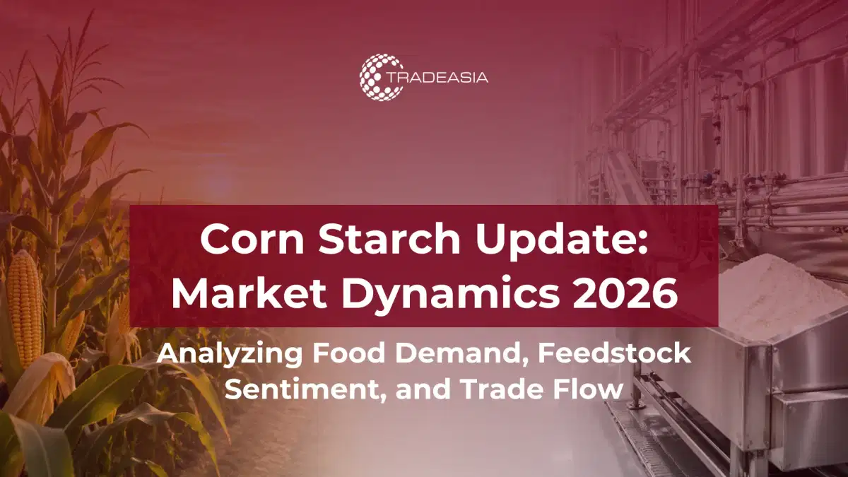 Dinámica del mercado del almidón de maíz en 2026: demanda de alimentos, confianza en las materias primas y flujo comercial