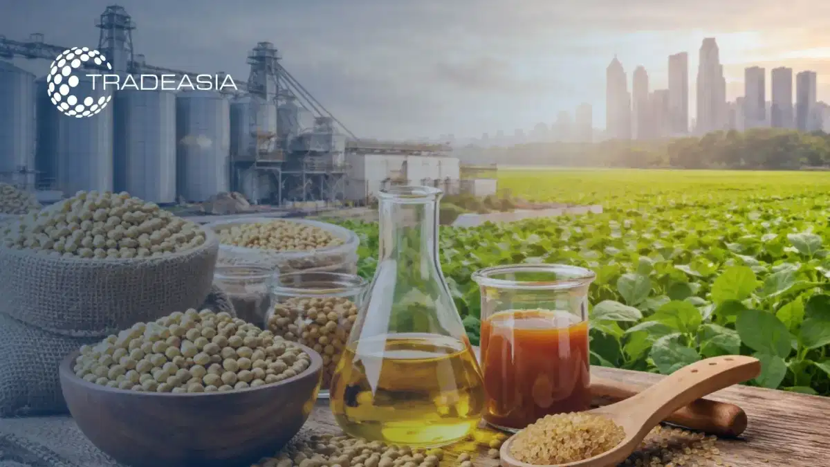 Lecitina de soja en Asia: dinámica del mercado y evolución de la cadena de suministro hasta 2026