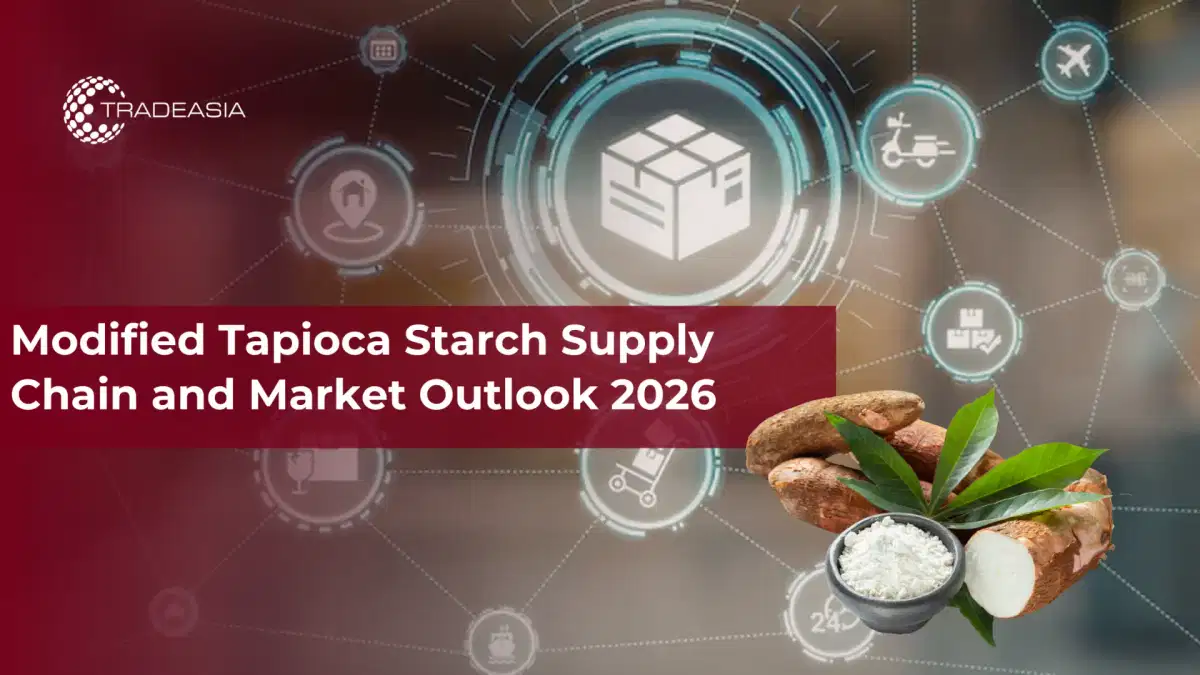 Perspectivas del mercado y la cadena de suministro de almidón de tapioca modificado para 2026