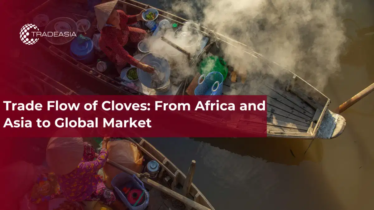 Flujo comercial de clavo: de África y Asia al mercado global